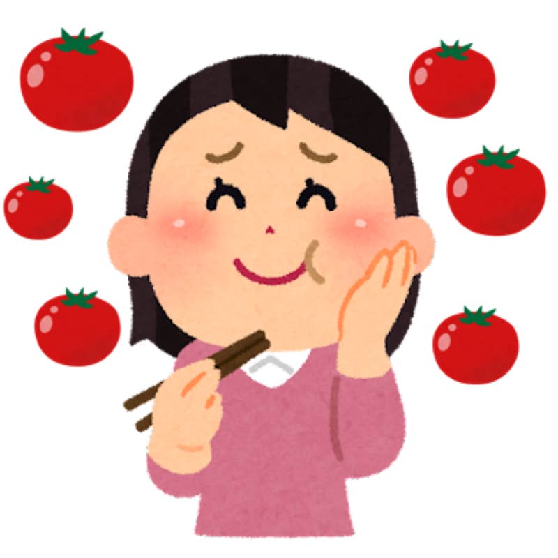 濃厚なトマト感がハンパねぇぇ カルディの トマトカレー が爽やかで美味しいんです