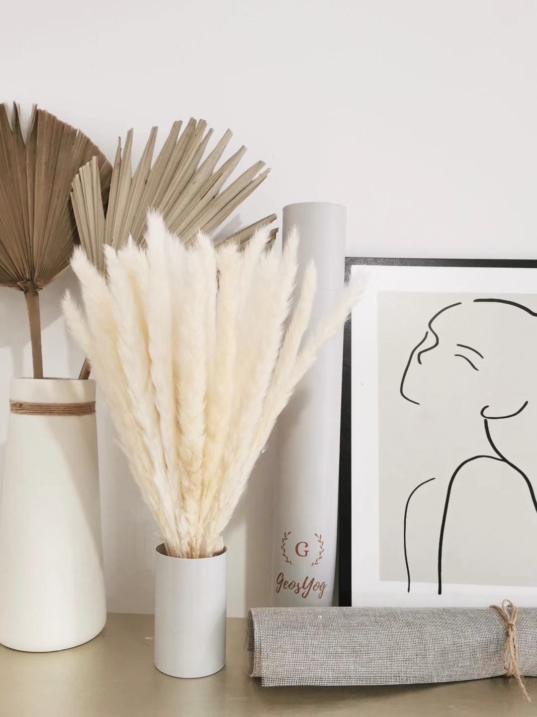 a reviewer&#x27;s bouquet of white pampas grass in a vase