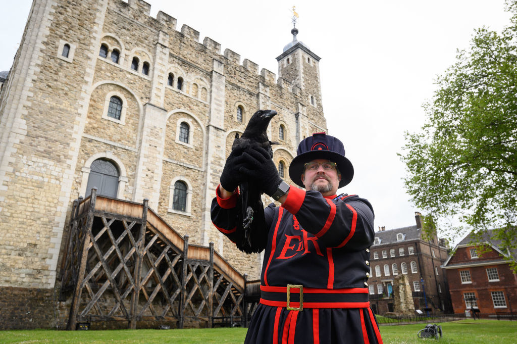 A Tower of London guard holds a Raven