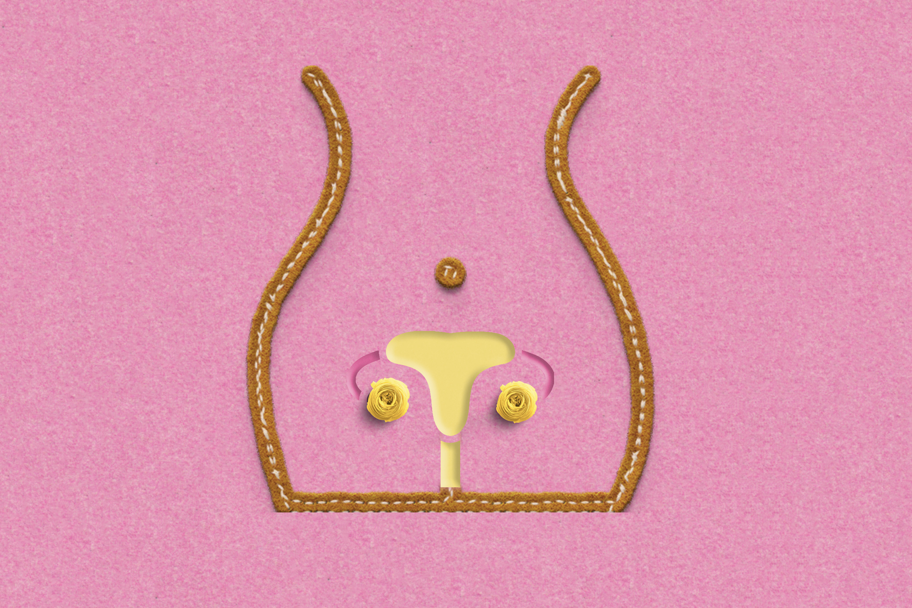 An illustrated image of a uterus and ovaries