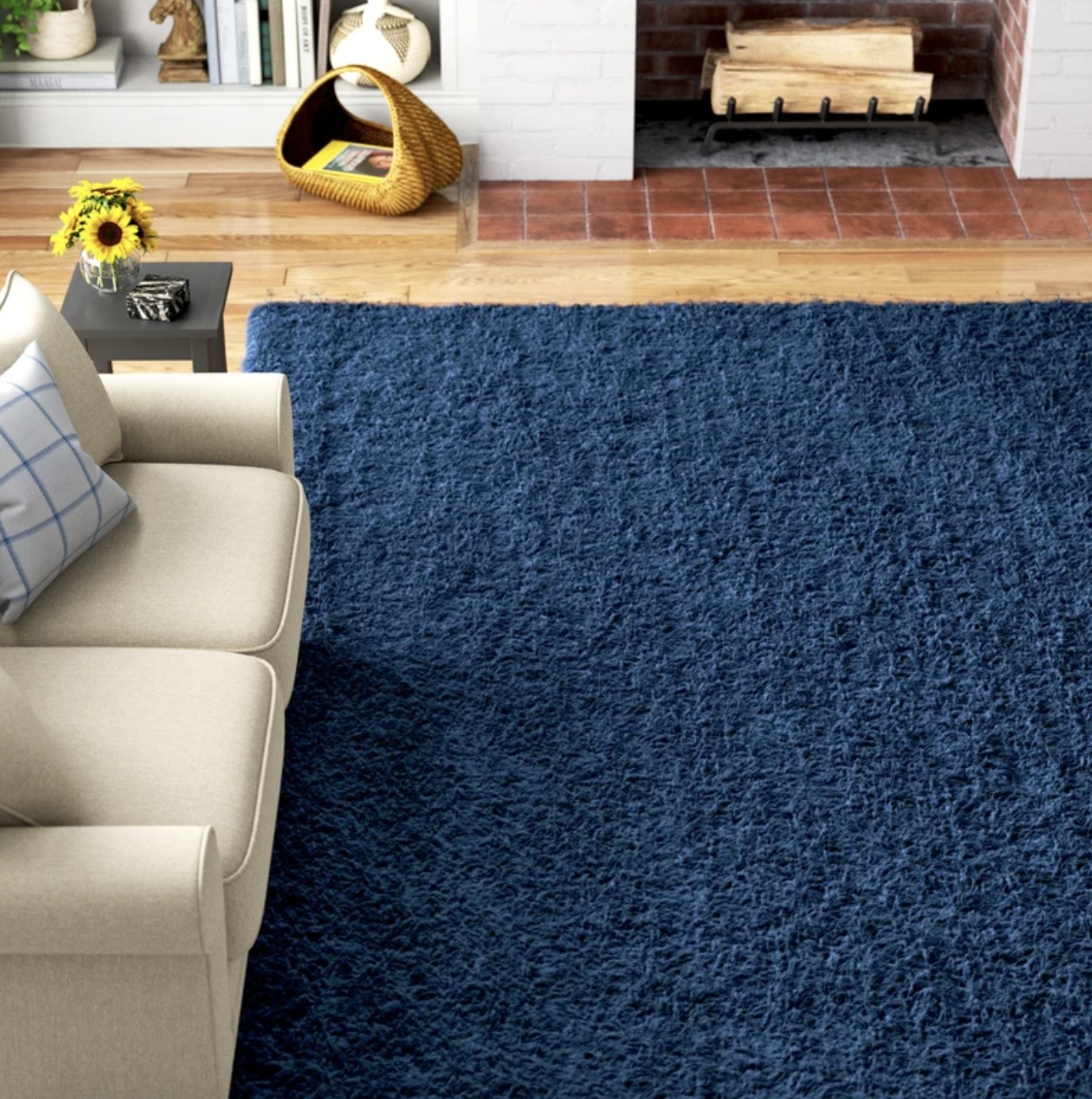 The blue thick shag rug us atop a light wooden floor in a sunlit living room