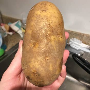A reviewer's before photo of a dirty potato