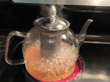The kettle on a pot