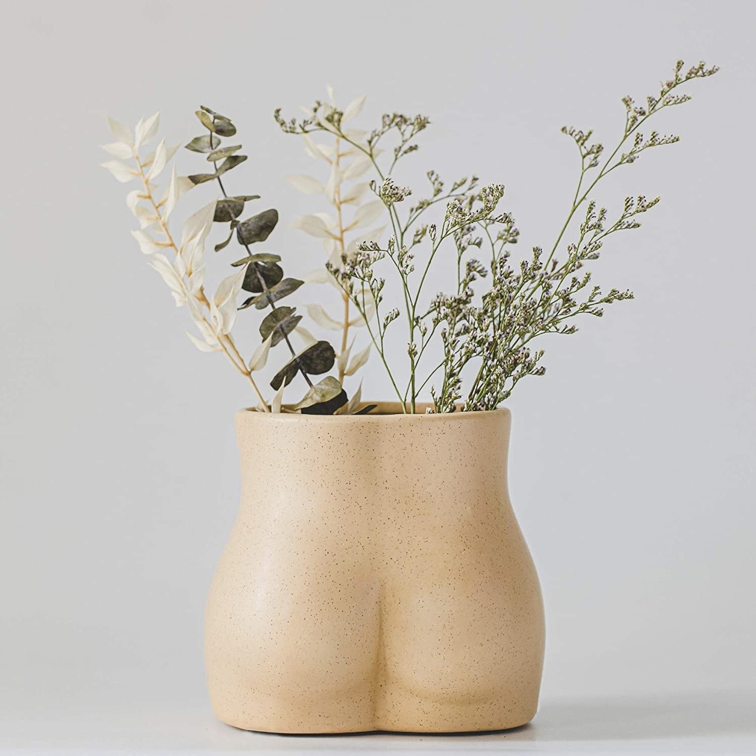 vase with plants