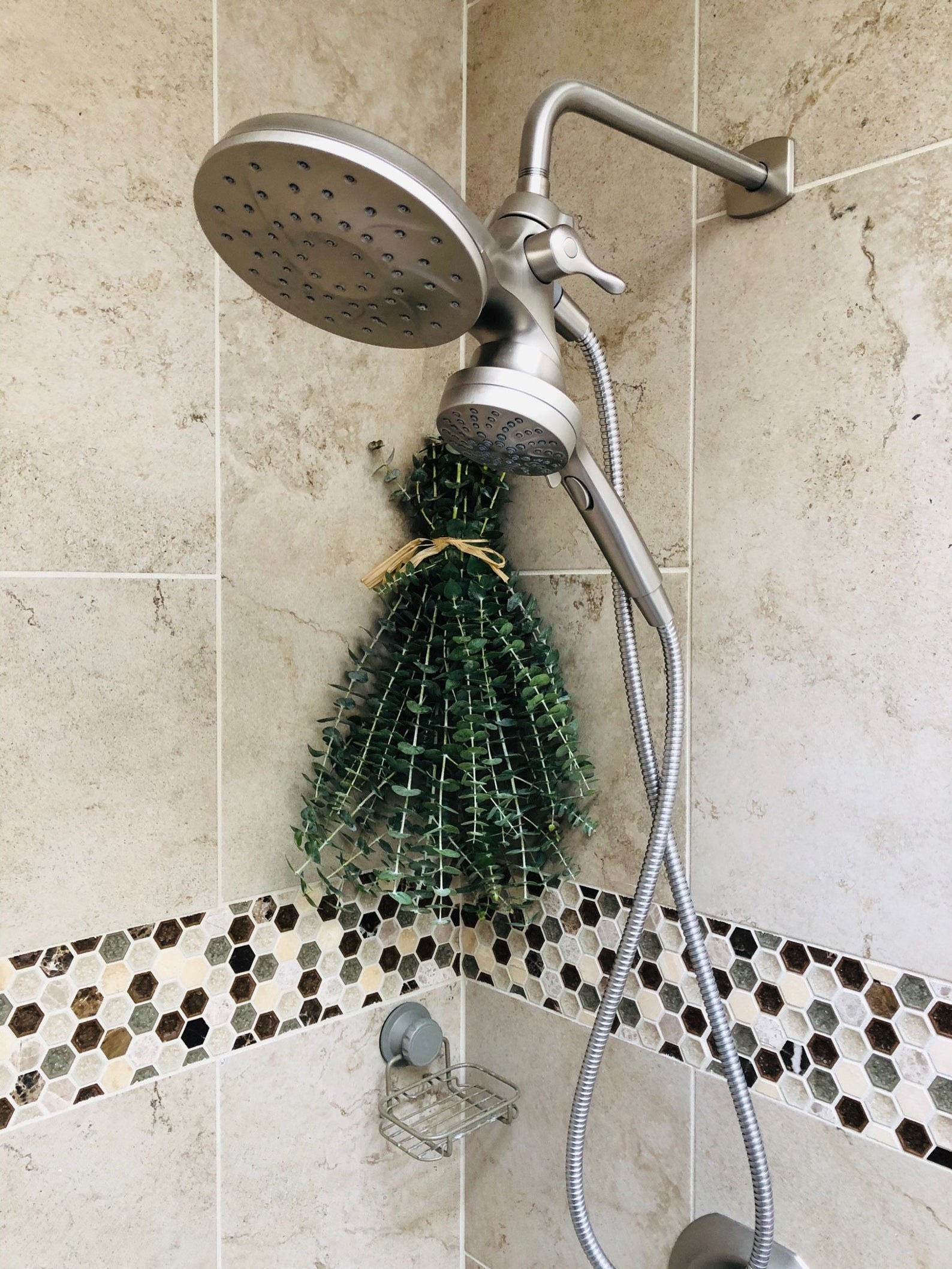 Eucalyptus bunch in shower