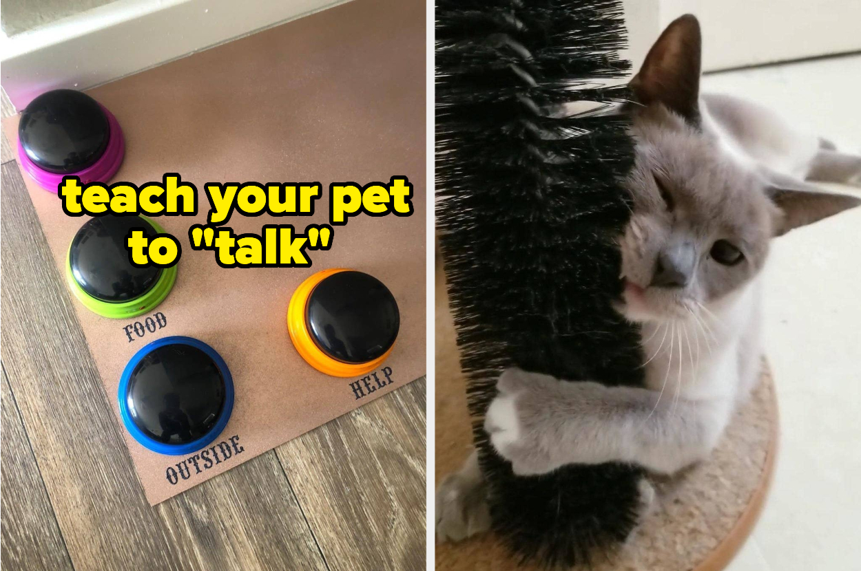 30 Fun Pet Products To Help Them Live Their Best Life