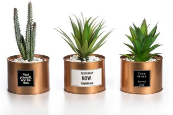 Three gold planters with artificial succulent plants and inspirational stickers
