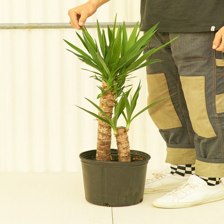 26 Of The Best Places To Buy Unique Home Decor 2021