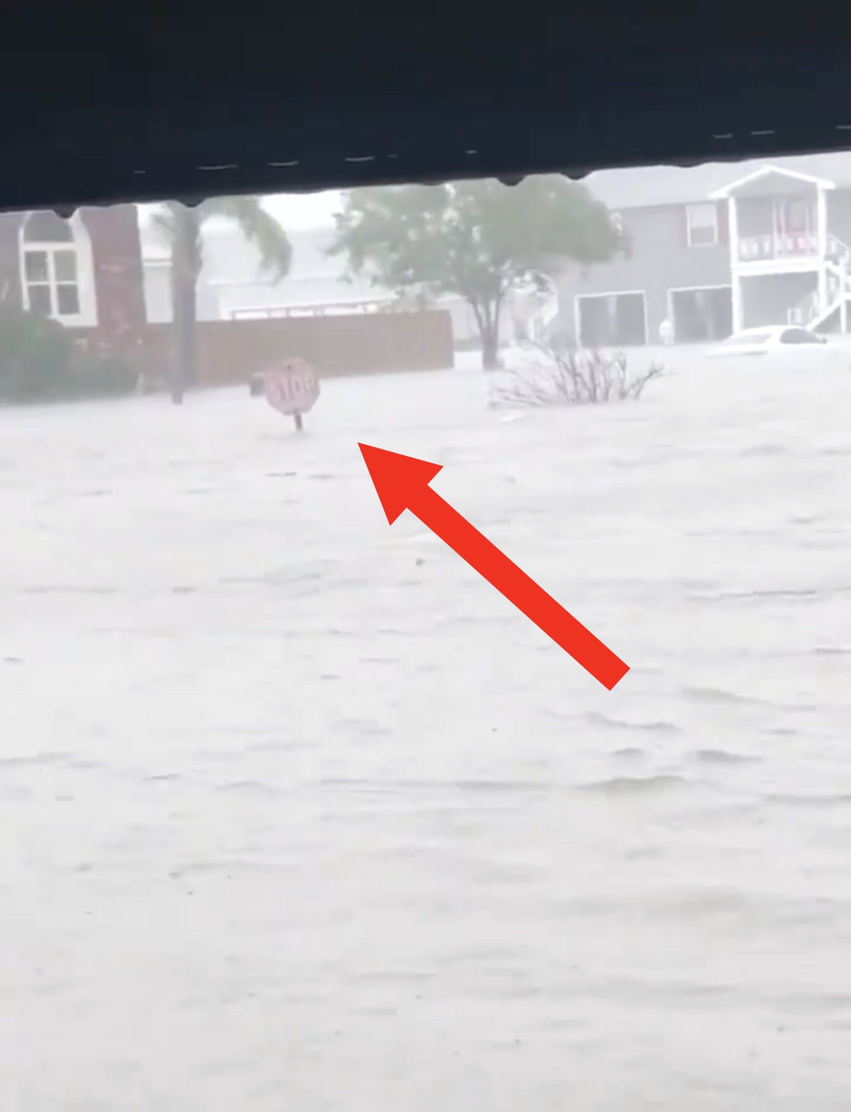 Flood waters near the top of a stop sign