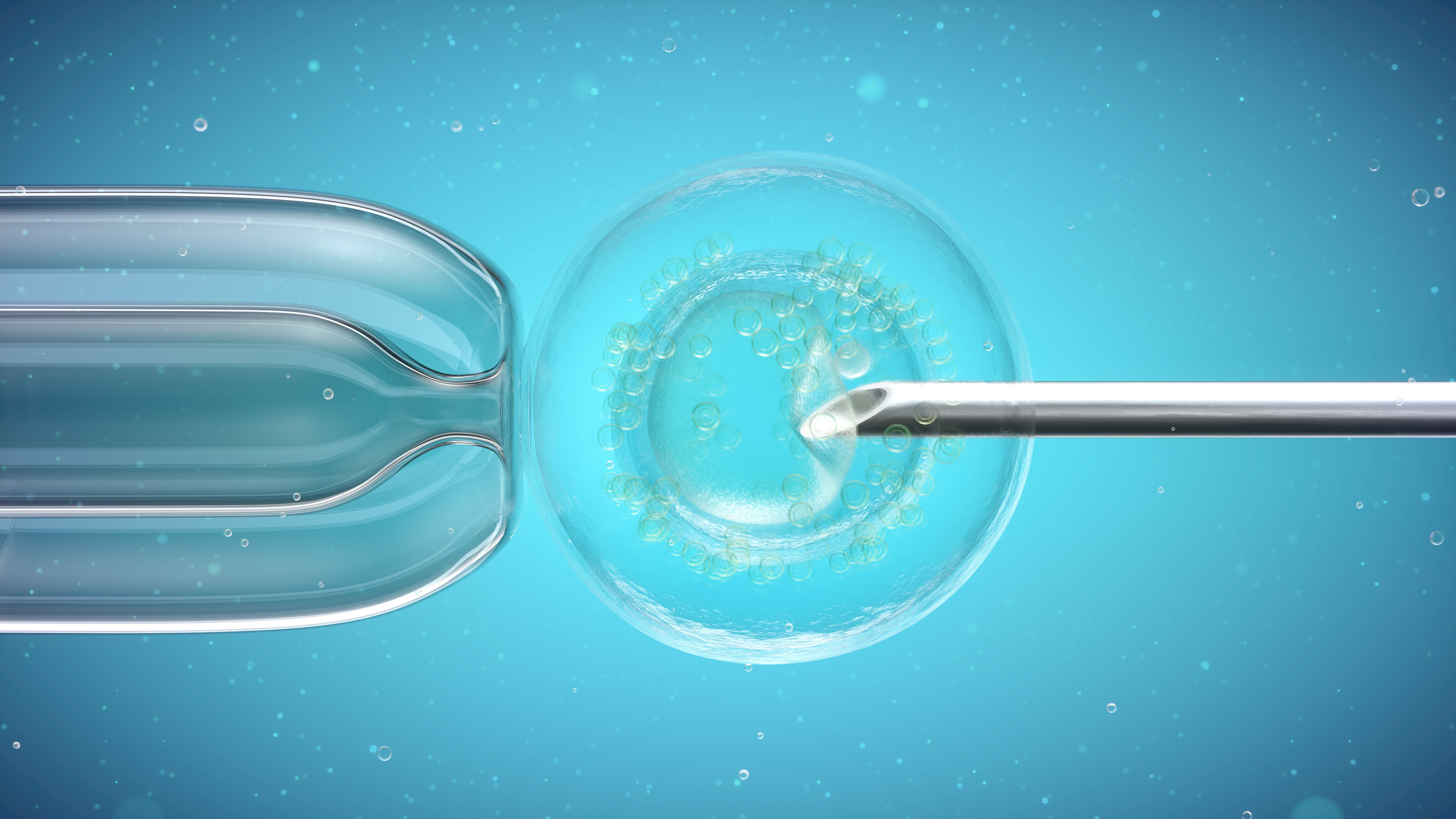 illustration of the IVF process