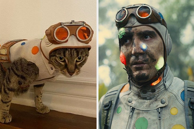 The Polka Dot Man Adopted A Cat That Kept Showing Up On The Set Of "The Suicide Squad"