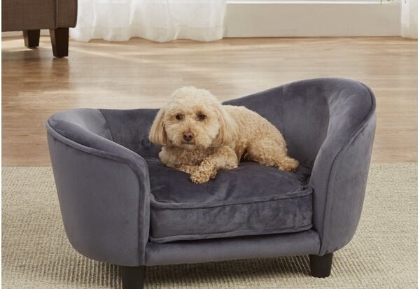 a dog sitting on a gray miniature couch