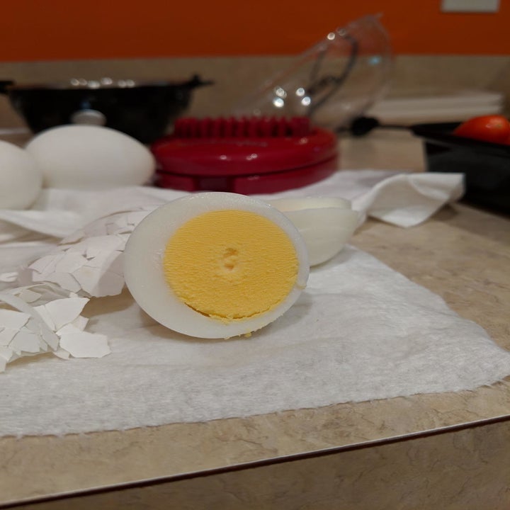 reviewer image of a hard boiled egg cut in half