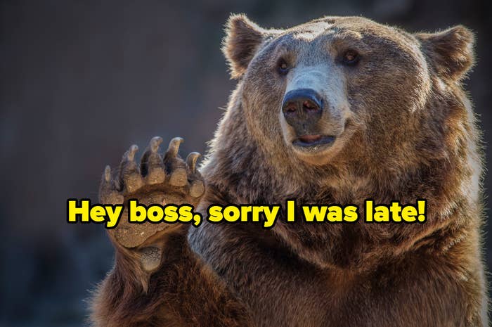 &quot;hey boss, sorry I was late&quot; over a brown bear waving a paw