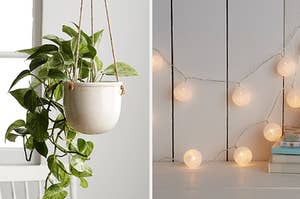 a planter, cute string of lights 