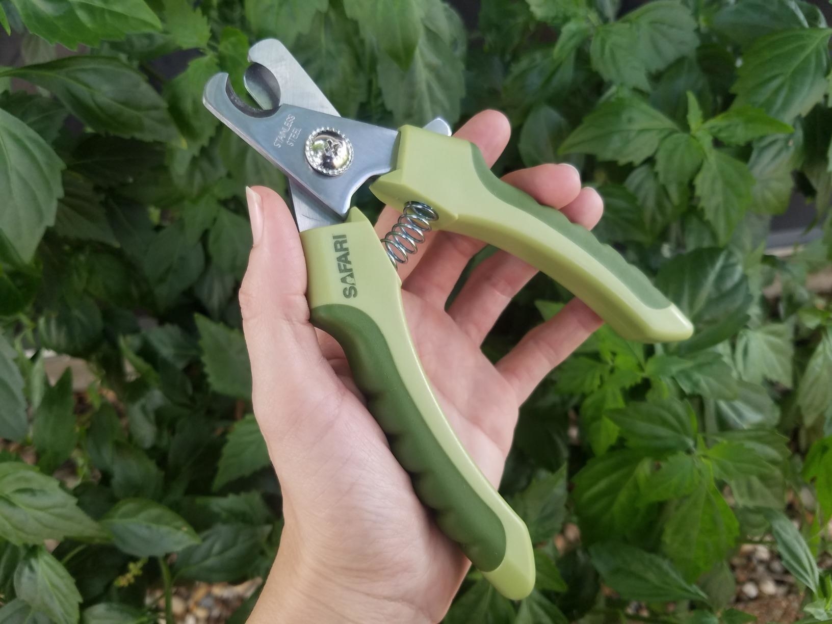 a reviewer holding the dog nail clippers
