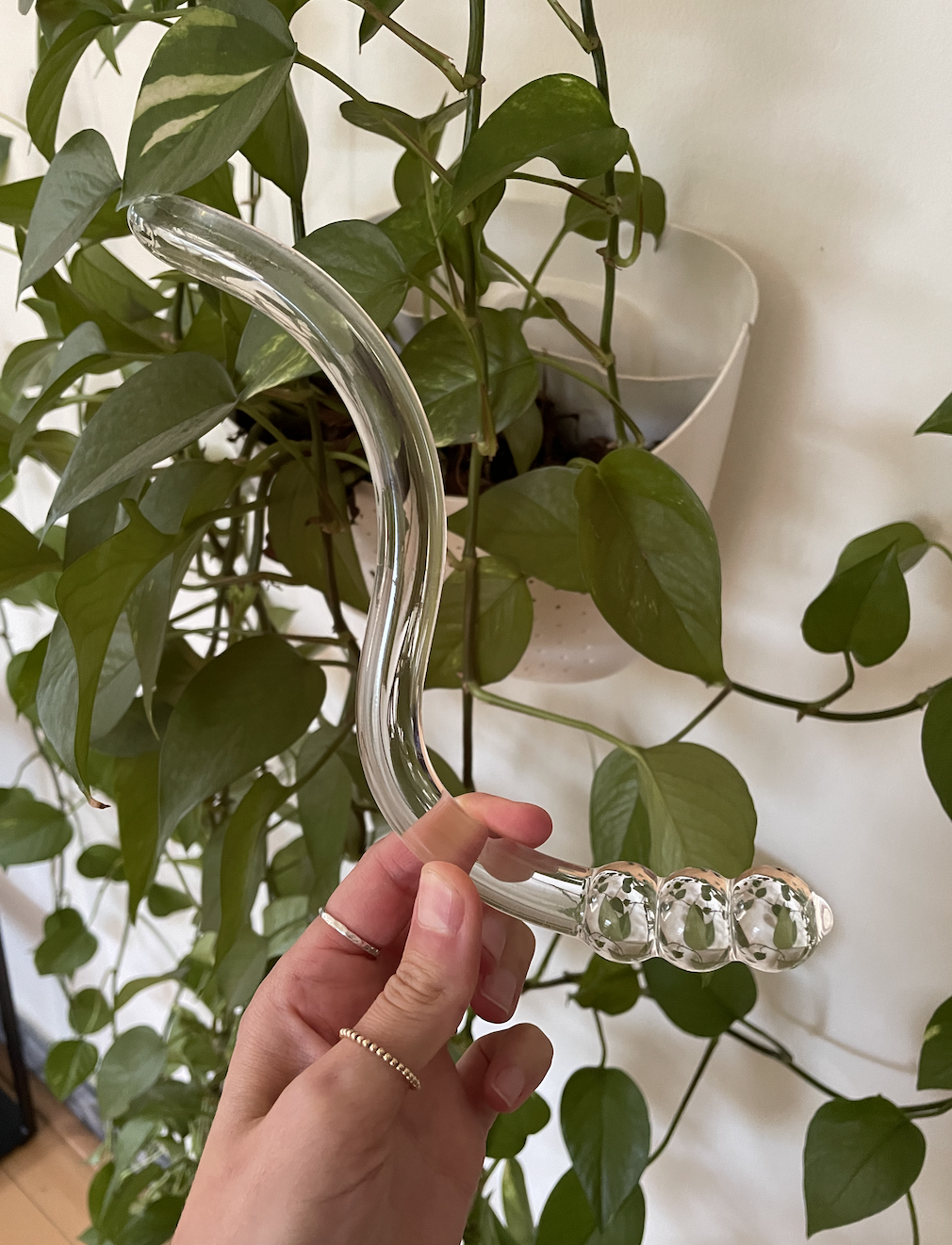 The author&#x27;s hand holding the therawand in front of a wall of plants