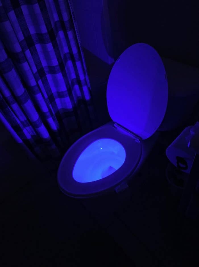 the reviewer&#x27;s image of the motion detector toilet light in blue