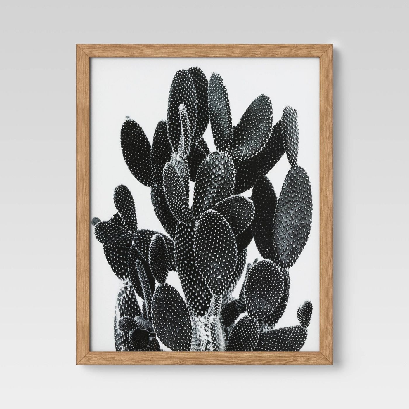 The striking framed cactus print