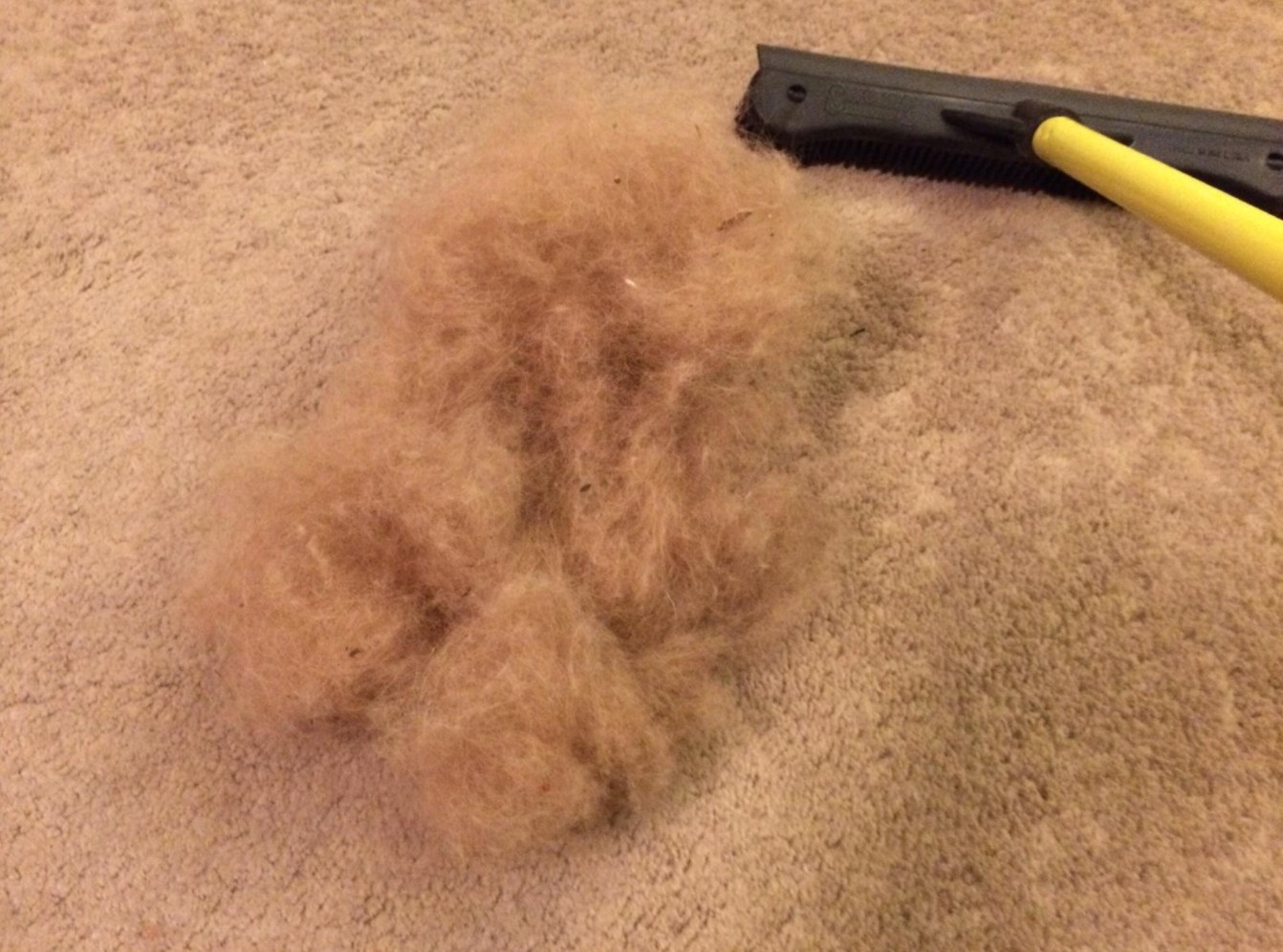 the reviewer&#x27;s image of the pet hair removal tool