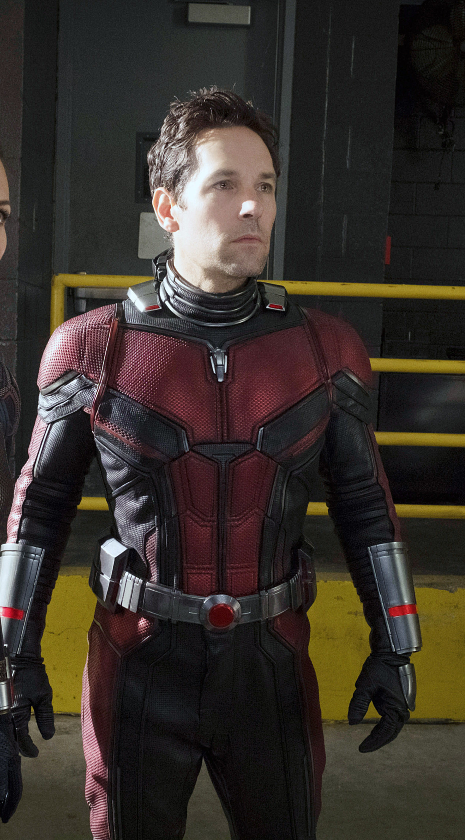 Ant Man wearing his outfit
