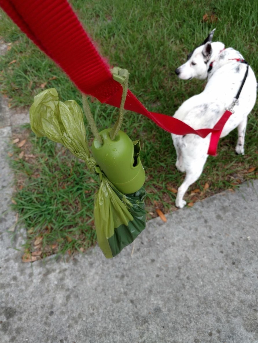 the reviewers image of the doggie bags on the leash