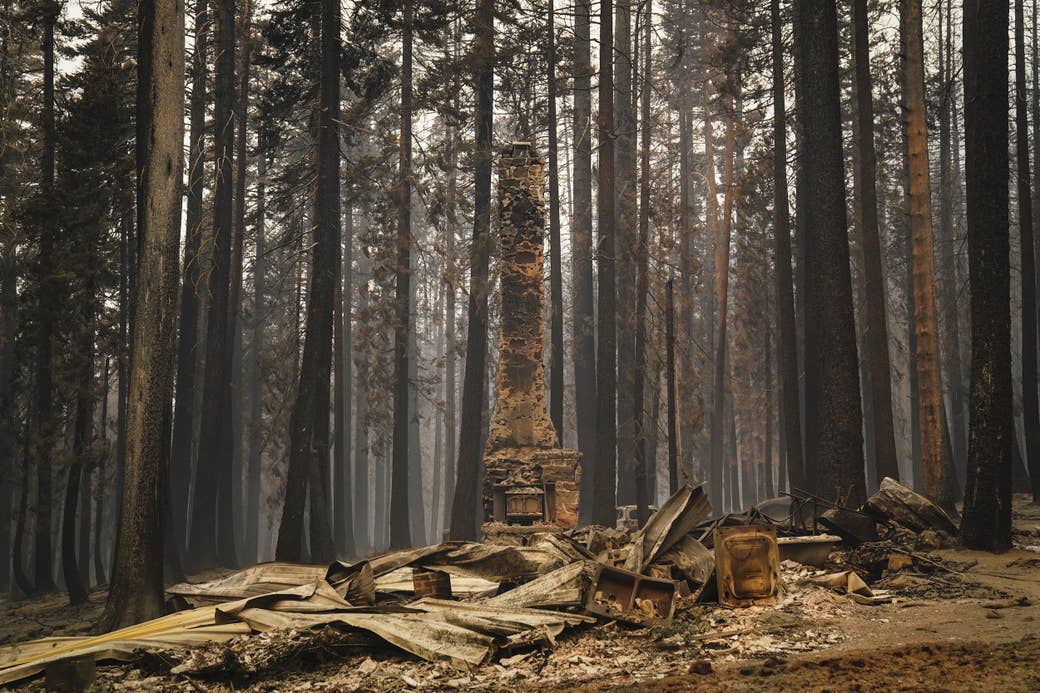 A lone chimney stands in a forest, surrounded by rubble from a destroyed structure