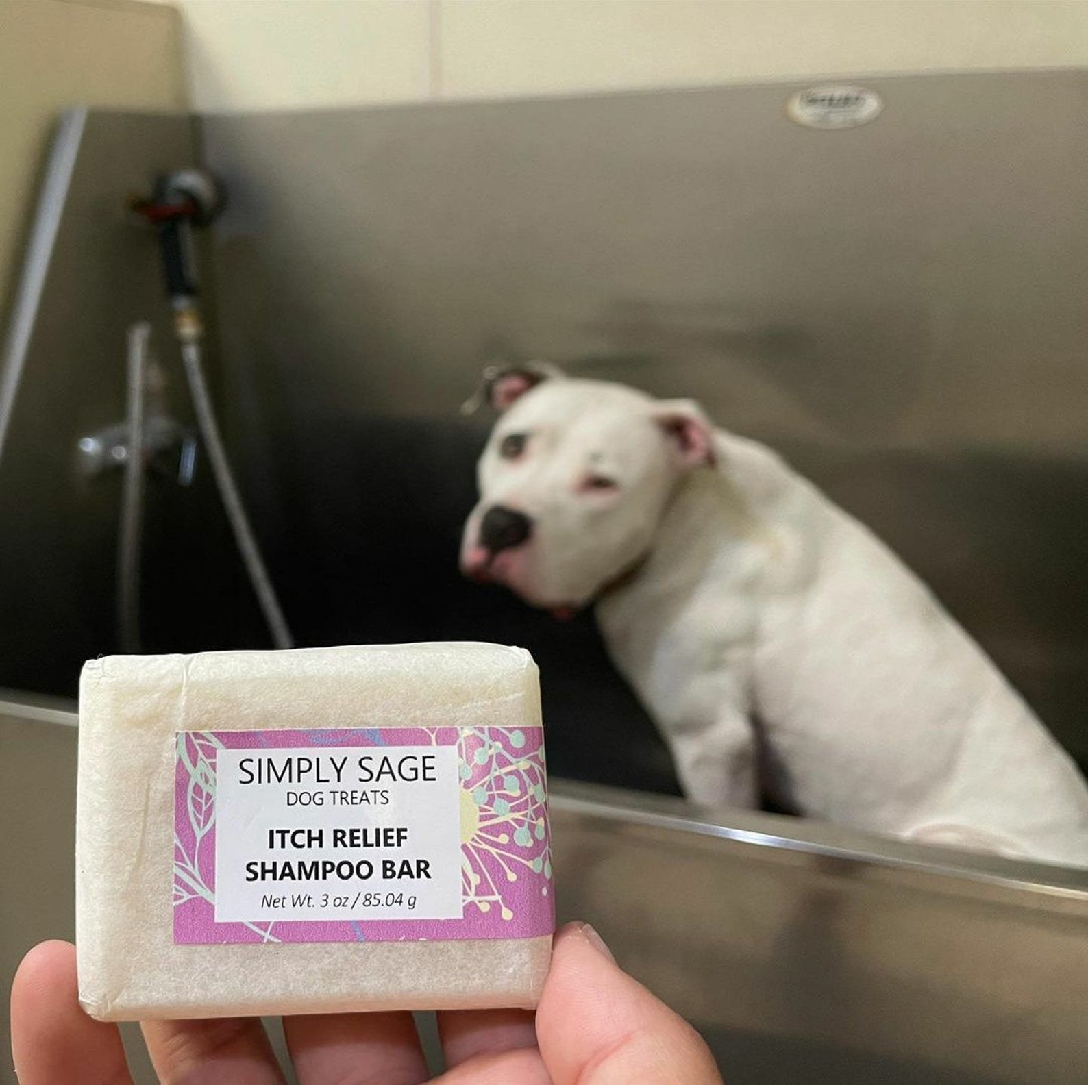 A person holding the shampoo bar in front of a dog in a basin