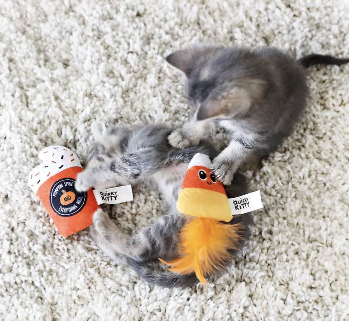 Two kittens playing with two toys, one that looks like a pumpkin spice latte, and another that looks like candy corn