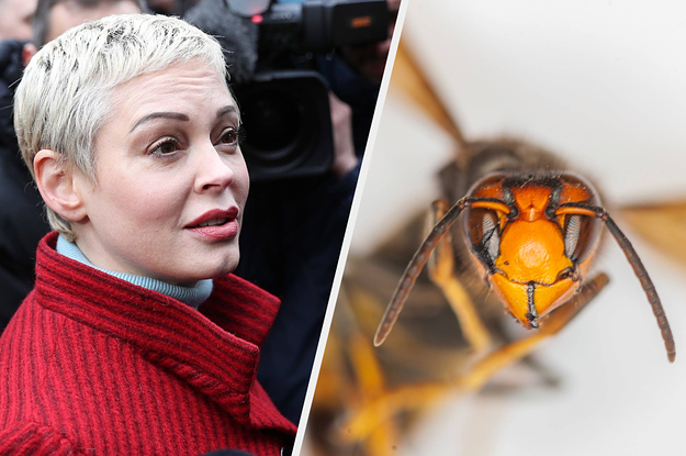 Rose McGowan Says She Was Stung By A Murder Hornet And Chronicled Her Scary Symptoms, And I'm Thinking About Never Leaving The House Again