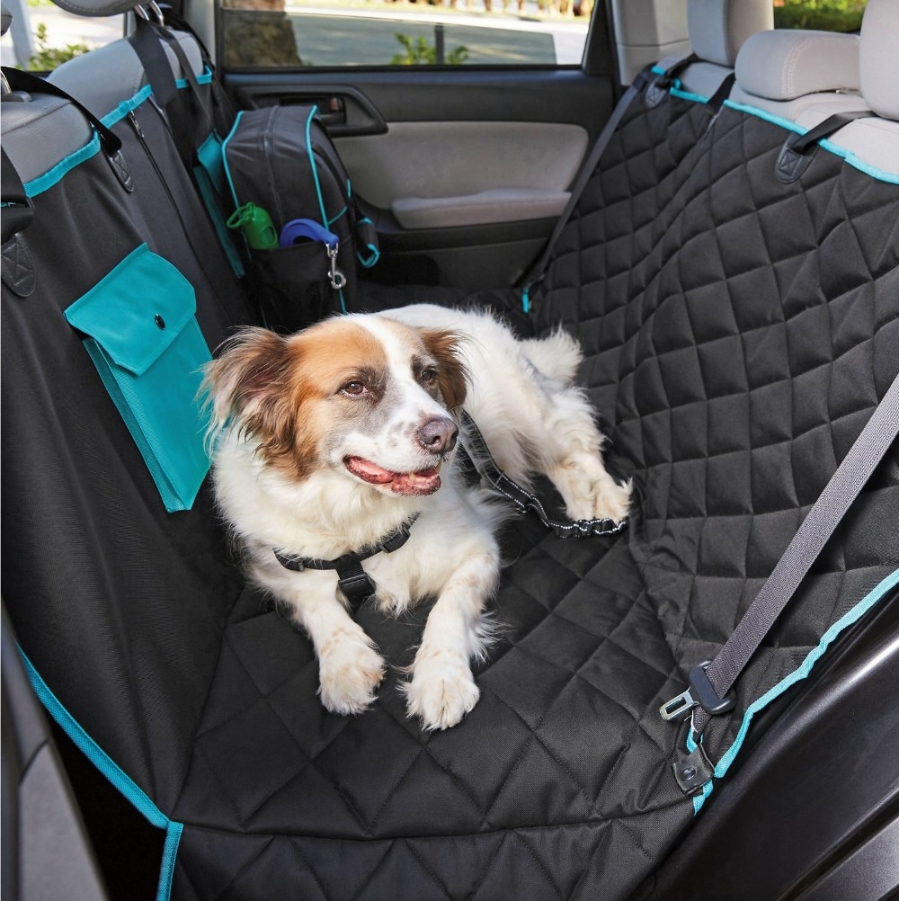 The car seat hammock in the color Black/Teal