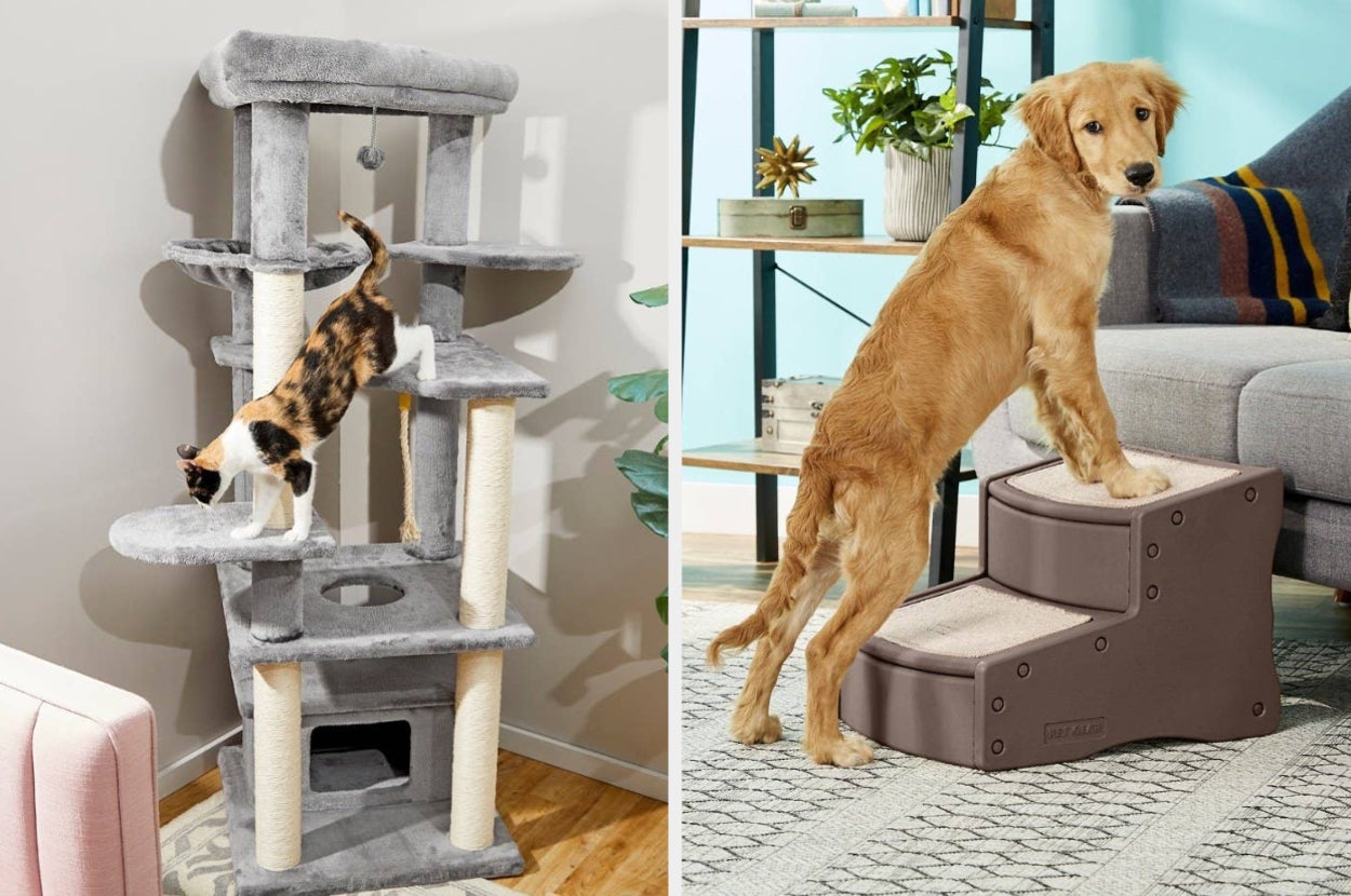 A large cat tree on the left and a dog on some pet steps on the right