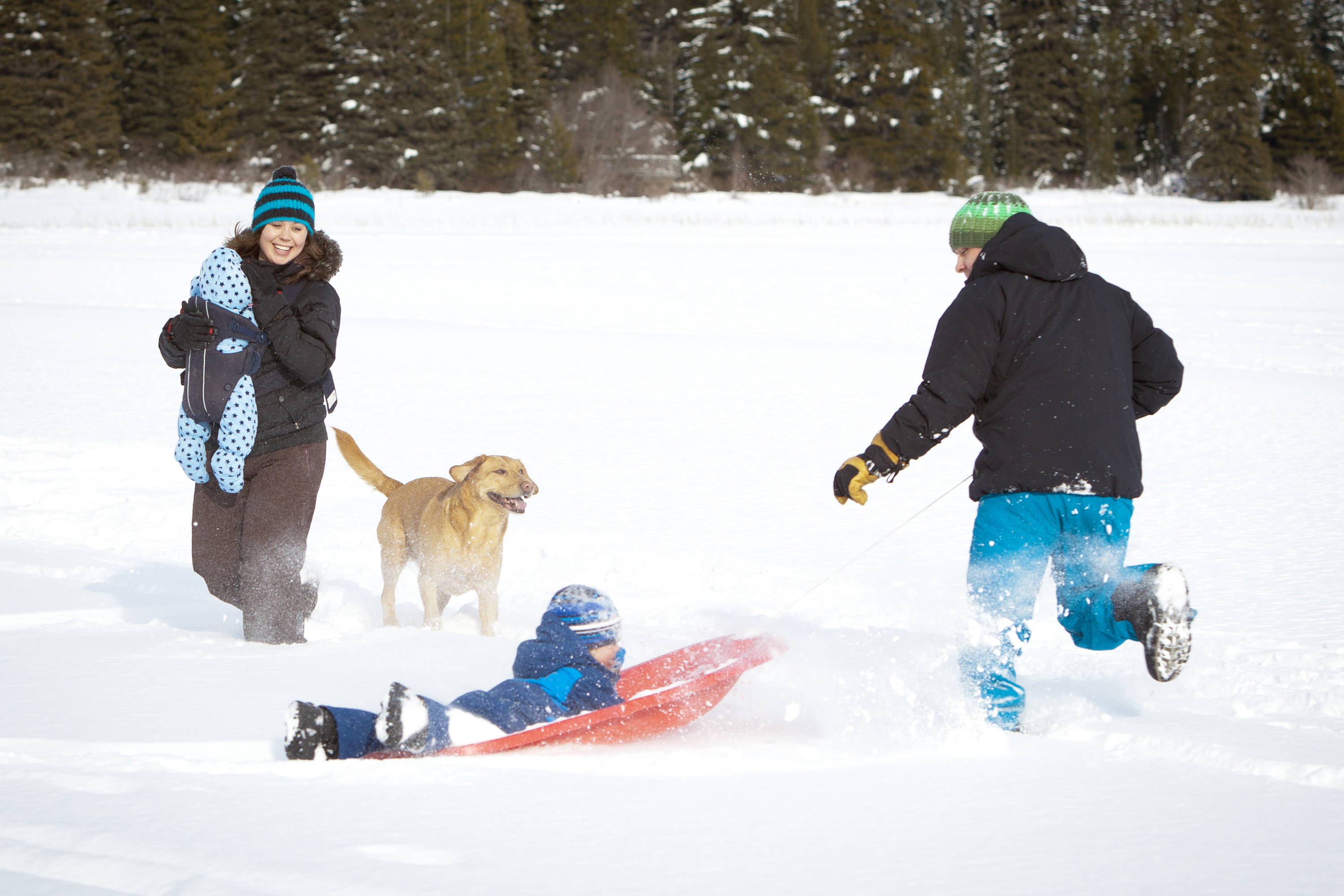 Parents with two small boys and dog enjoying winter outside.