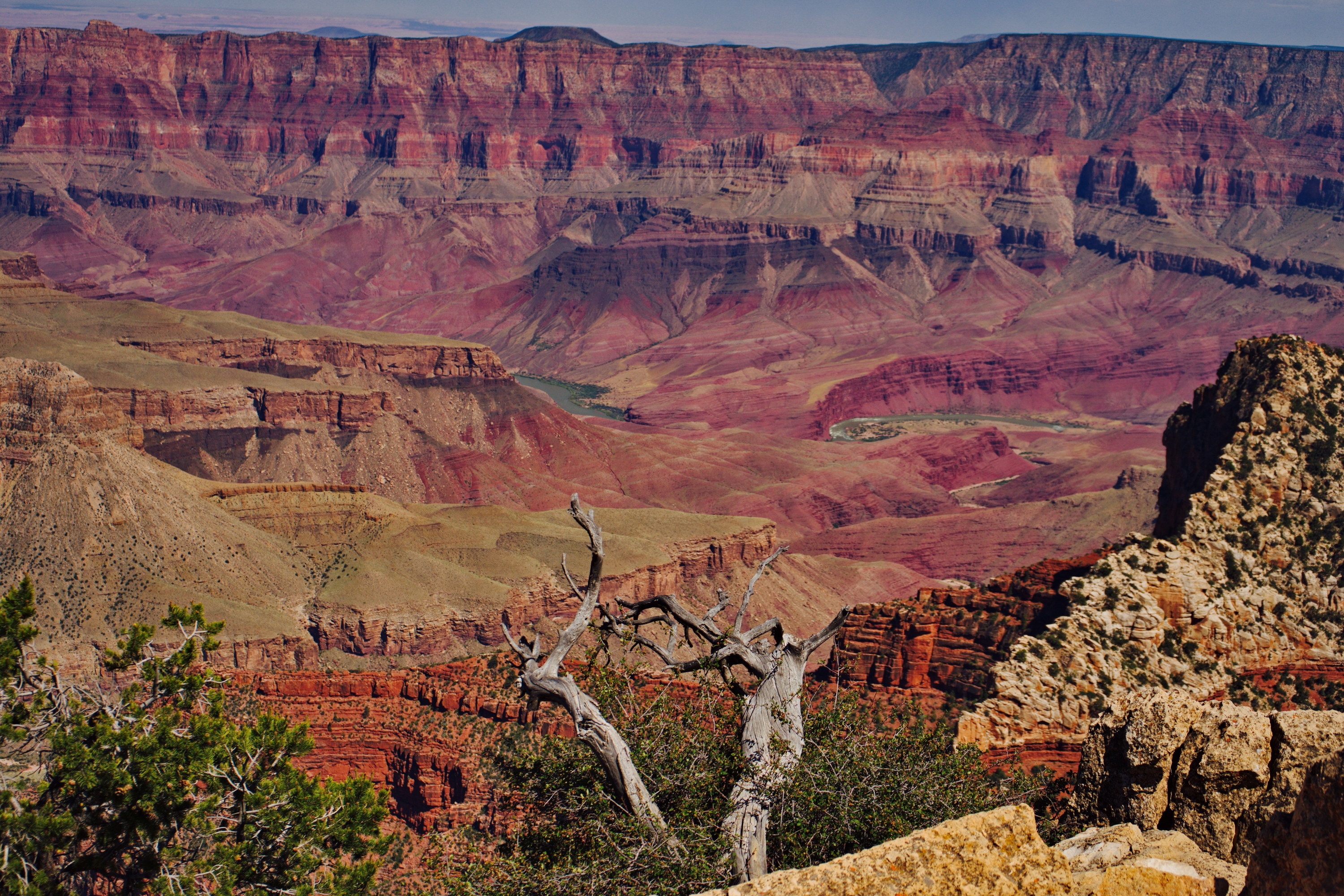 The Grand Canyon