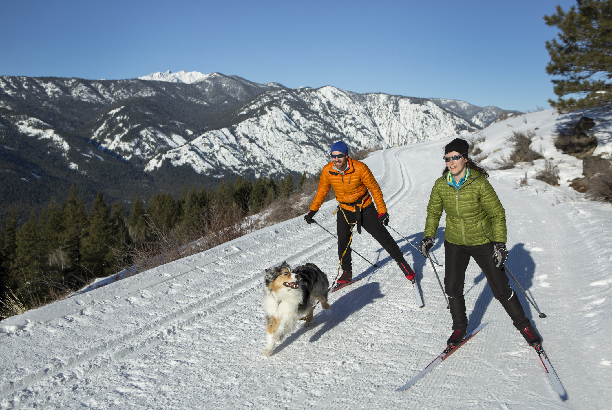 A couple and their dog skijoring.