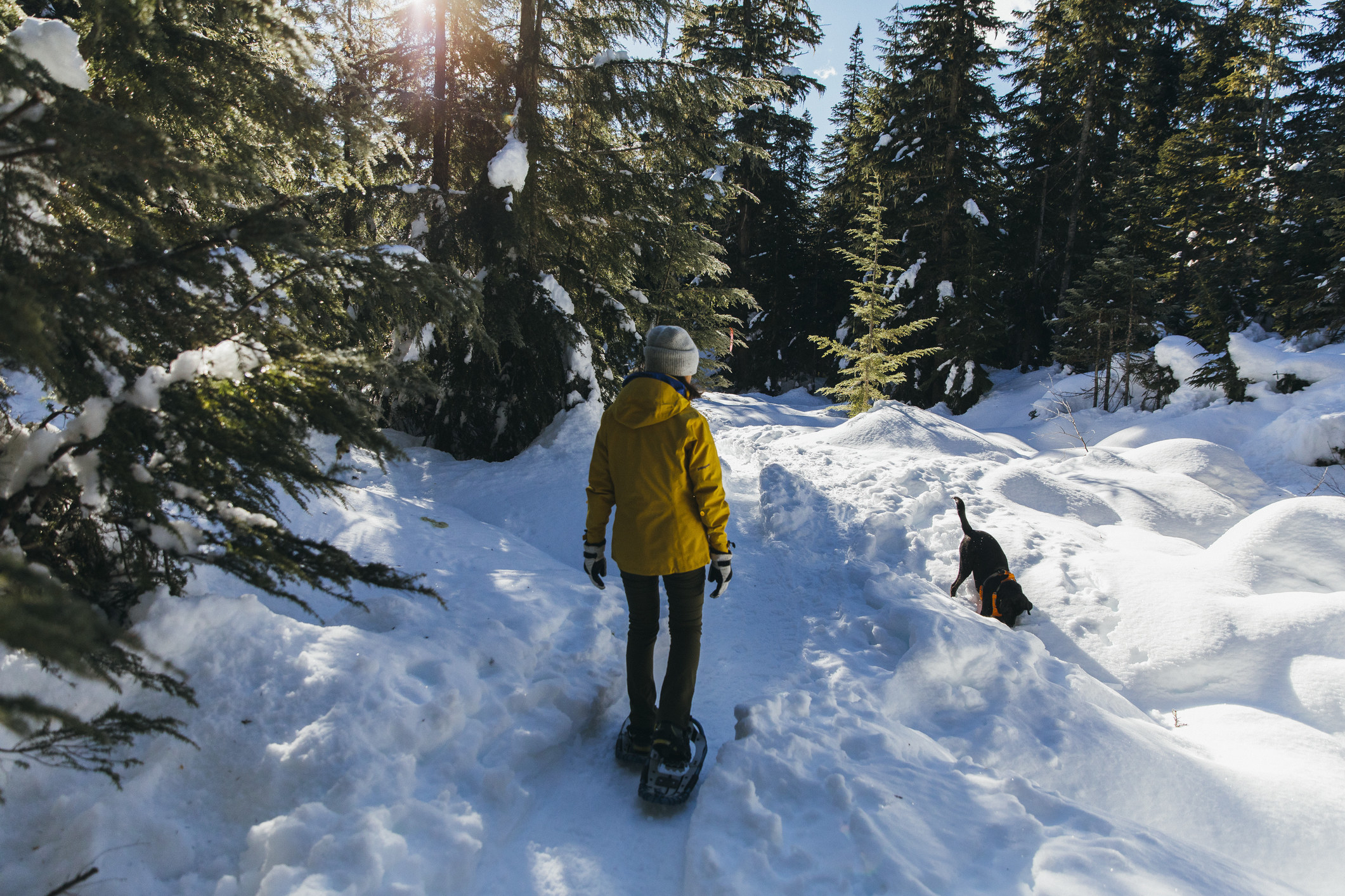 Young woman snowshoeing in woods with pet dog.