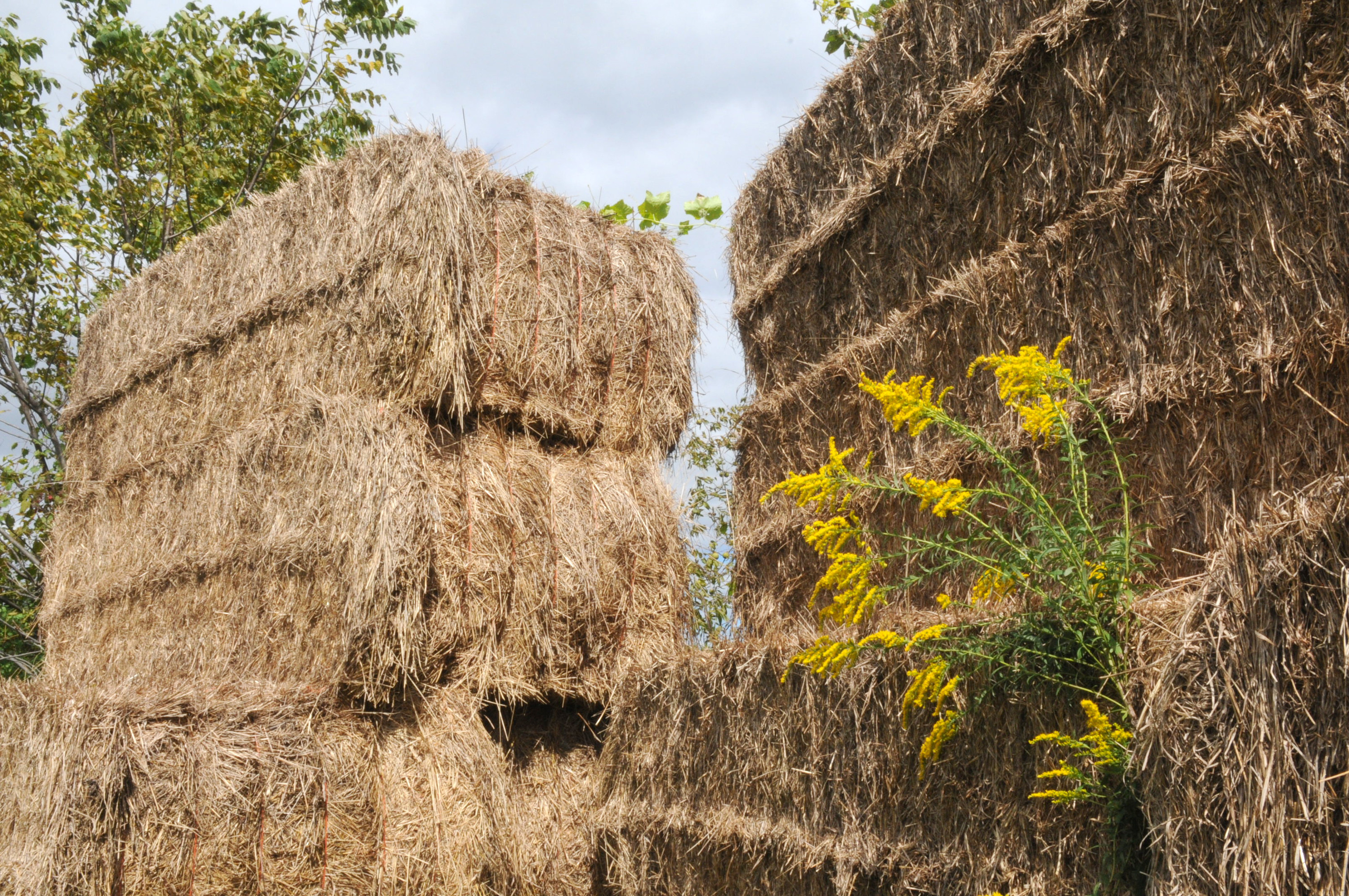 A stack of hay bales