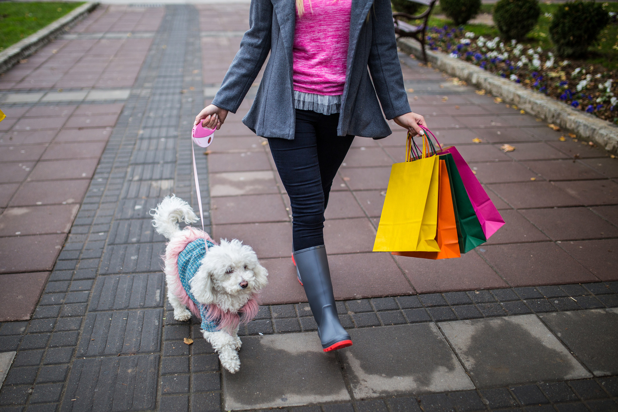 Young woman and a dog going for a walk with shopping bags.