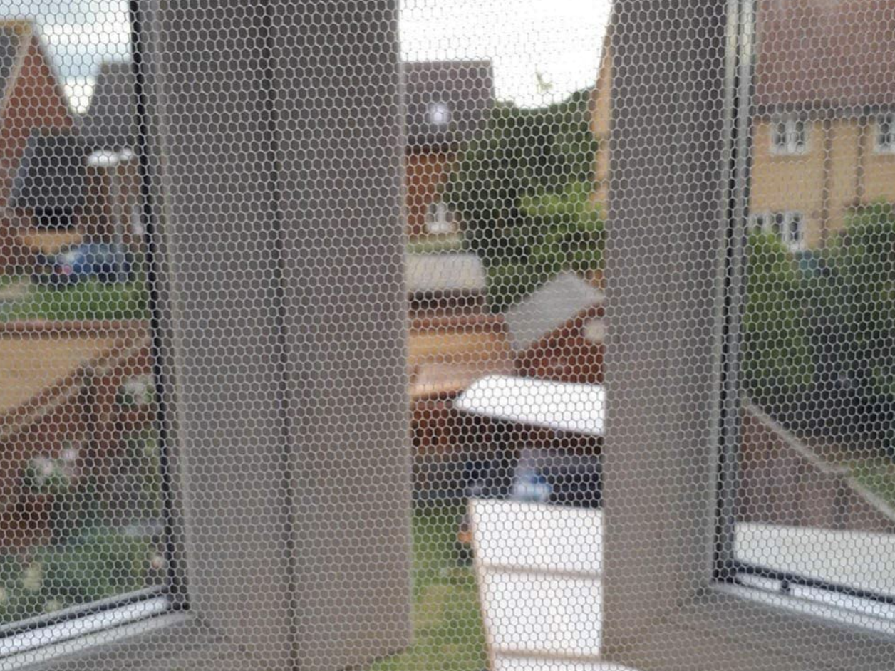 window with insect screen net