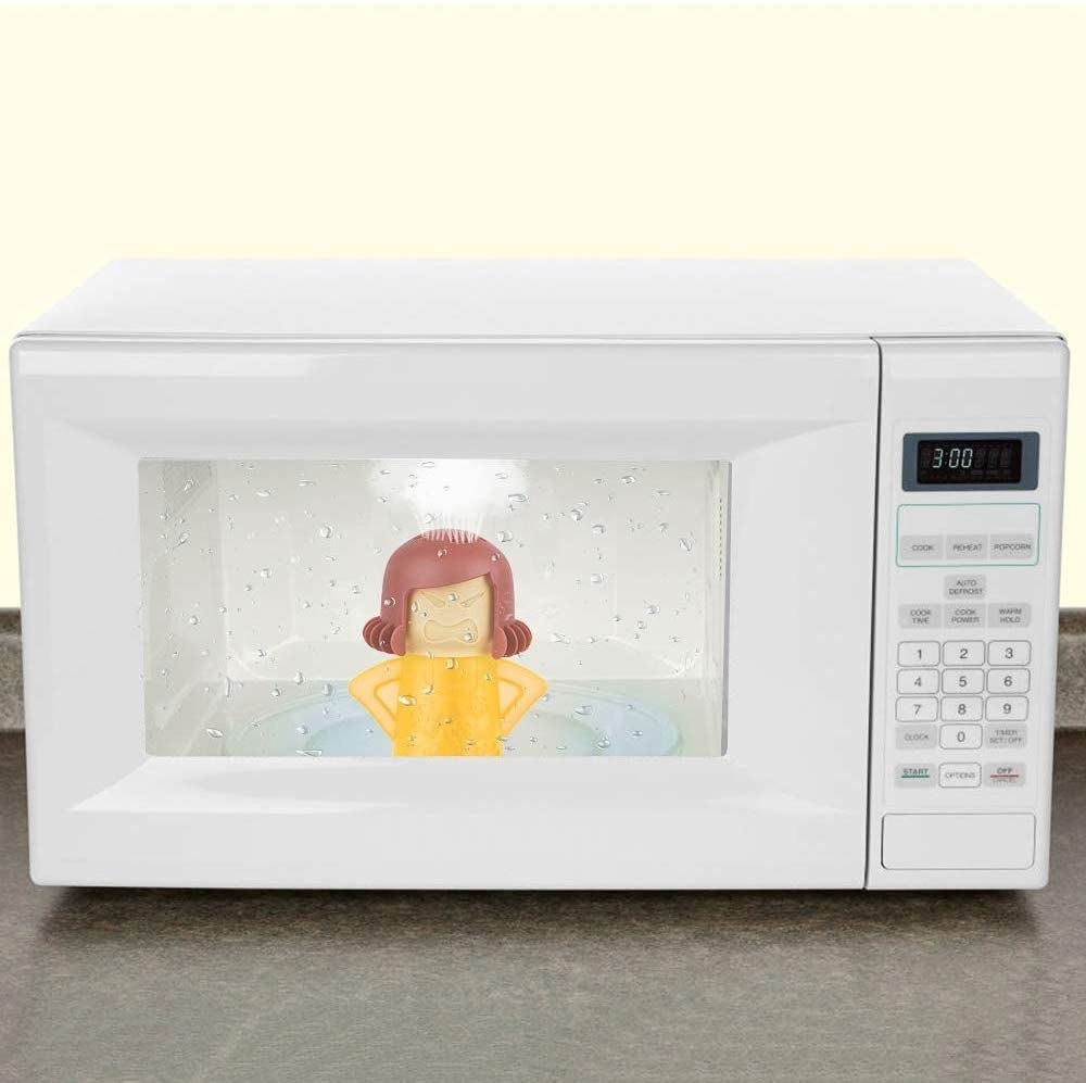Angry Mama steam cleaner in microwave