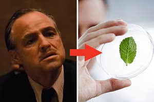 The Godfather is on the left with a man holding a leaf on the right