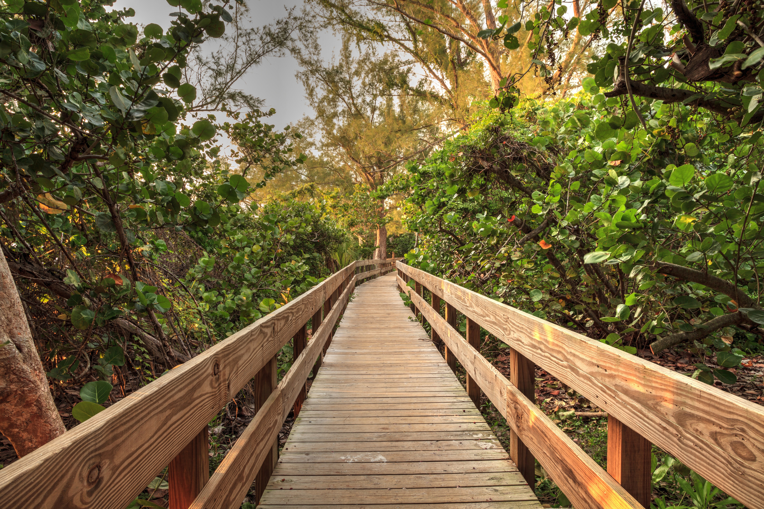 Photo of a boardwalk to the beach in Naples, FL
