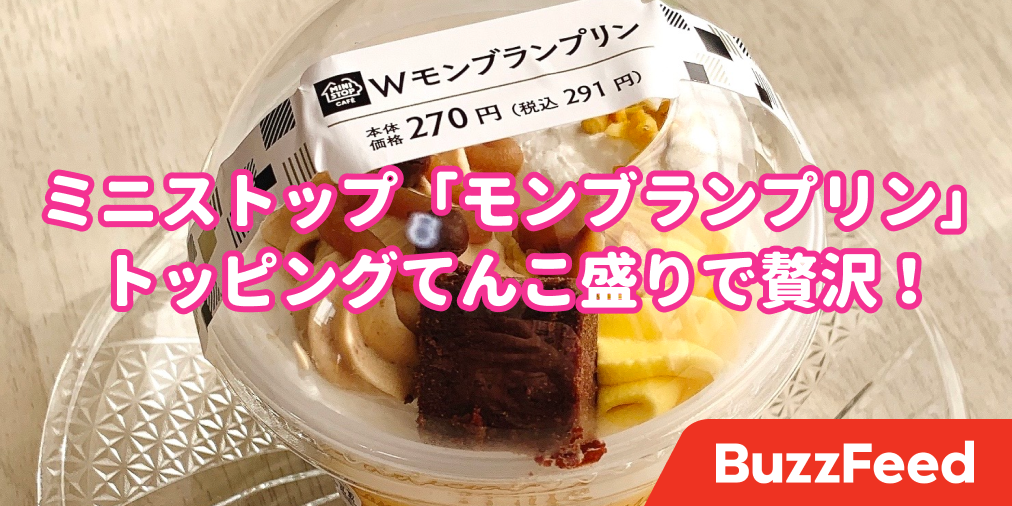 すごい めっちゃてんこ盛り ミニストップの 贅沢モンブランプリン が理想のスイーツでした