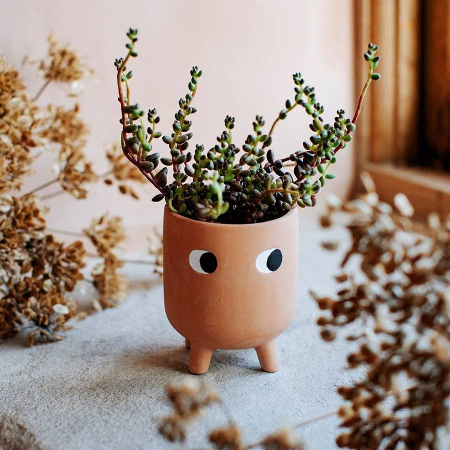 Sass & Belle Vaso In Ceramica Per Piante Grasse – Design Volpacchiotto Del Bosco, Collezione Woodland Baby