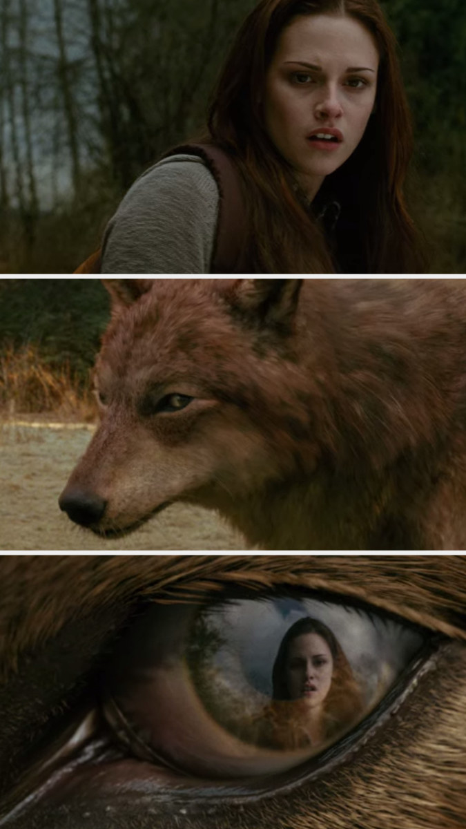 In the New Moon movie, Bella and Wolf Jacob looking at each other