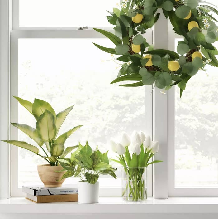 the artifical plant with other plants on a windowsill