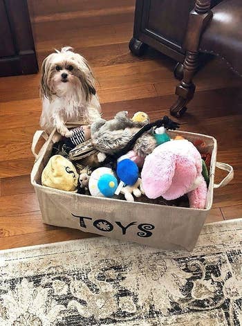 Reviewer's photo showing their dog standing next to the burlap bin full of toys