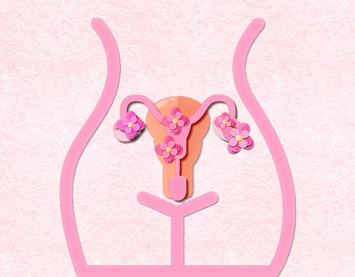 An illustrated image of a uterus with flowers on it