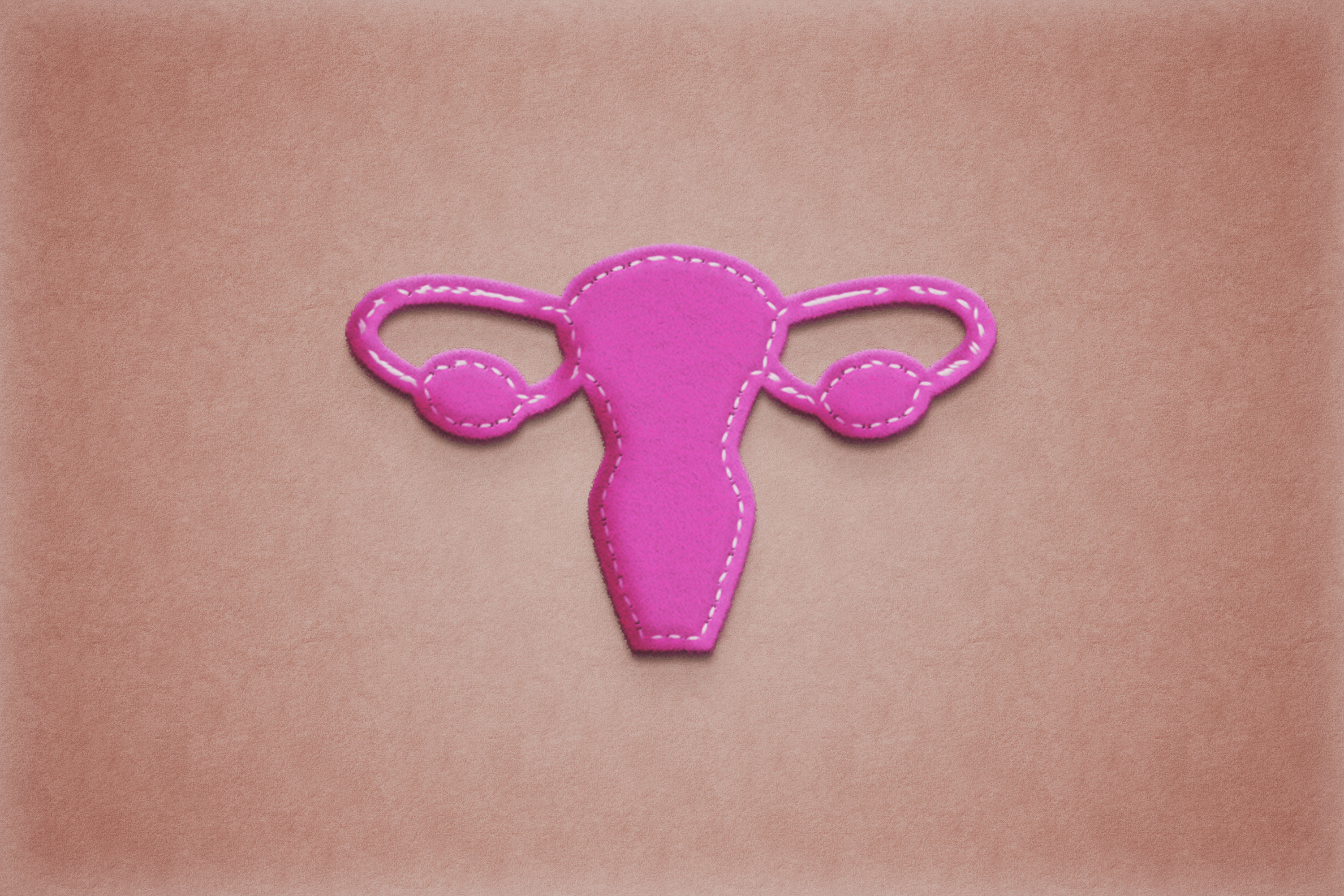 Art concept of uterus