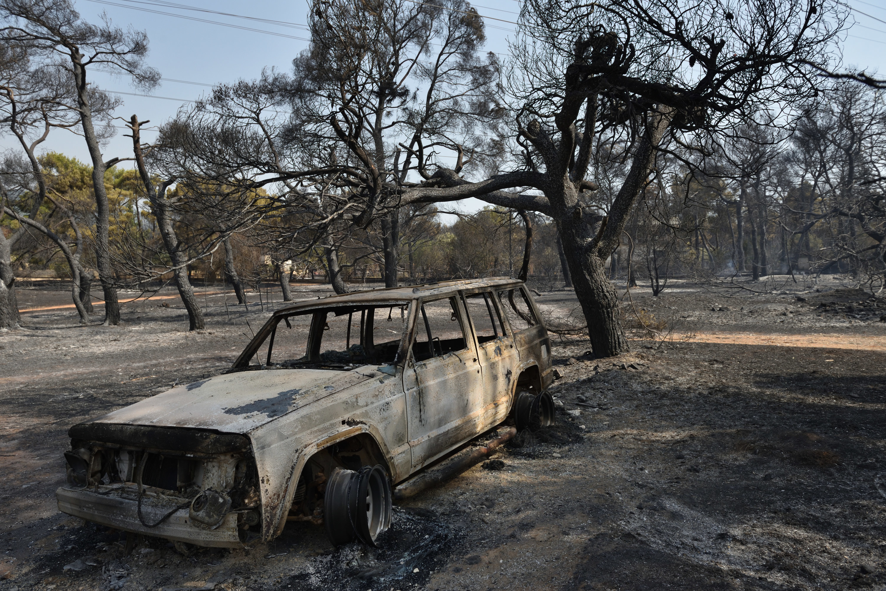 A burned out car in the middle of a wooded area